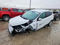 1FMCU9GD2KUA25648 2019 FORD ESCAPE