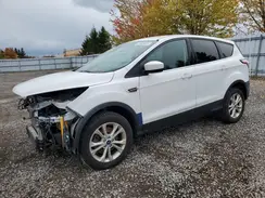 1FMCU9GD3HUB68486 2017 FORD ESCAPE