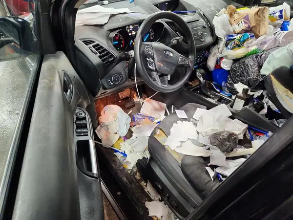 1FMCU9GD4JUD29482 2018 FORD ESCAPE - Image 8