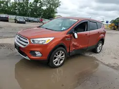 1FMCU9GD4KUB23001 2019 FORD ESCAPE