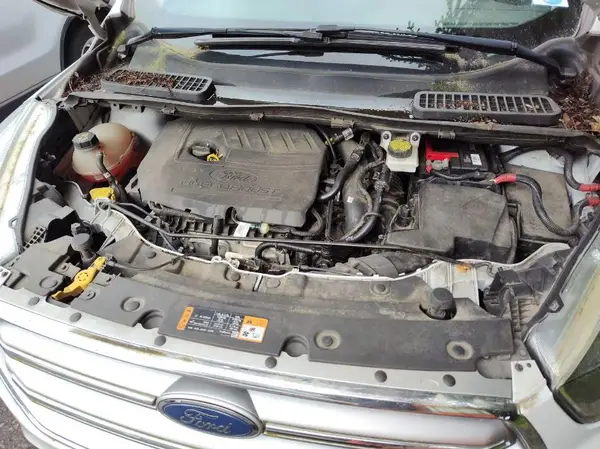 1FMCU9GD5HUC98916 2017 FORD ESCAPE - Image 2