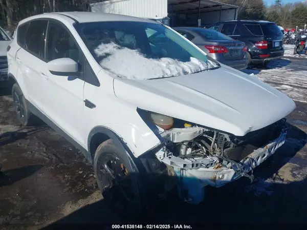 1FMCU9GD5HUE49141 2017 FORD ESCAPE - Image 1