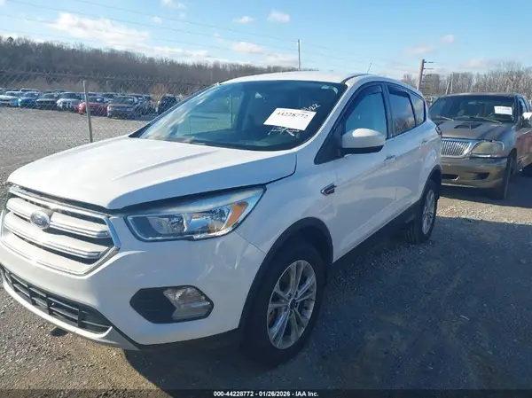 1FMCU9GD5KUA10979 2019 FORD ESCAPE - Image 2