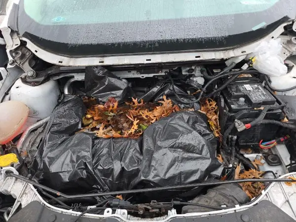 1FMCU9GD6JUB84865 2018 FORD ESCAPE - Image 2