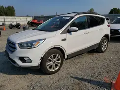 1FMCU9GD7HUB45244 2017 FORD ESCAPE
