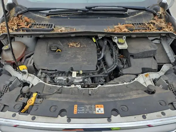 1FMCU9GD7HUE40330 2017 FORD ESCAPE - Image 2