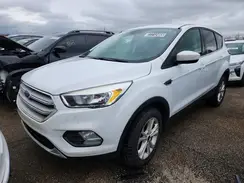 1FMCU9GD7KUB82236 2019 FORD ESCAPE