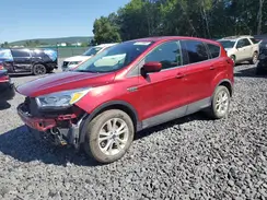 1FMCU9GD7KUC18037 2019 FORD ESCAPE