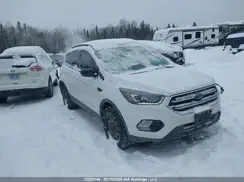 1FMCU9GD8KUC38975 2019 FORD ESCAPE
