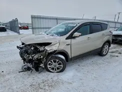 1FMCU9GD9HUB97717 2017 FORD ESCAPE