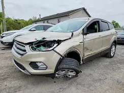 1FMCU9GD9HUD71852 2017 FORD ESCAPE