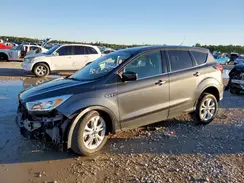 1FMCU9GD9KUB38299 2019 FORD ESCAPE