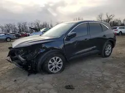 1FMCU9GN0RUA37882 2024 FORD ESCAPE