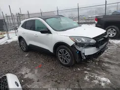1FMCU9H63LUC12561 2020 FORD ESCAPE