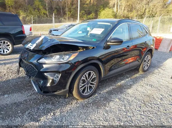 1FMCU9H65LUC66363 2020 FORD ESCAPE - Image 2