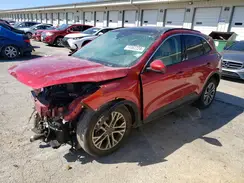 1FMCU9H66LUA98541 2020 FORD ESCAPE