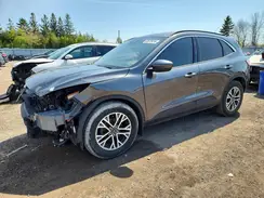 1FMCU9H66LUB34261 2020 FORD ESCAPE