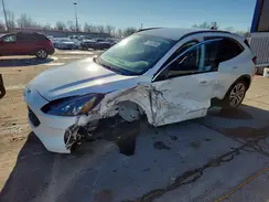 1FMCU9H67MUA12591 2021 FORD ESCAPE