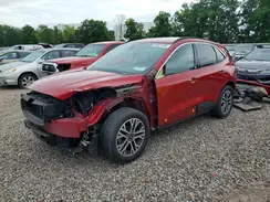 1FMCU9H68LUB54849 2020 FORD ESCAPE