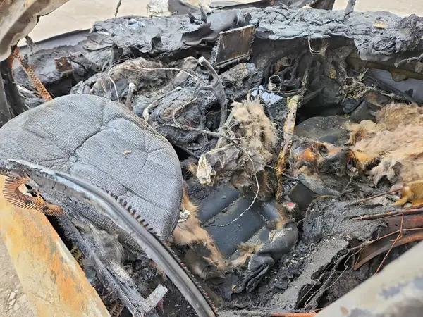 1FMCU9H69MUA29070 2021 FORD ESCAPE - Image 8