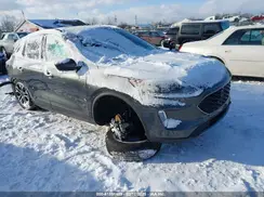 1FMCU9H6XLUA85419 2020 FORD ESCAPE
