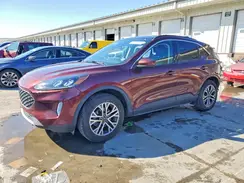 1FMCU9H90MUA58581 2021 FORD ESCAPE