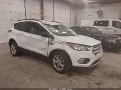 1FMCU9HD1KUB99998 2019 FORD ESCAPE