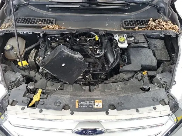 1FMCU9HD3KUA78082 2019 FORD ESCAPE - Image 2