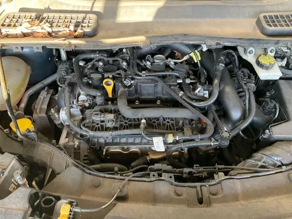1FMCU9HD5KUA72591 2019 FORD ESCAPE - Image 1