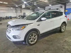 1FMCU9HD5KUC53982 2019 FORD ESCAPE