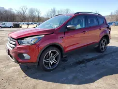 1FMCU9HD6KUB73459 2019 FORD ESCAPE