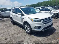 1FMCU9HD6KUB94392 2019 FORD ESCAPE