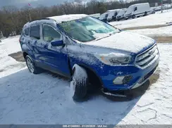 1FMCU9HD7KUA61821 2019 FORD ESCAPE