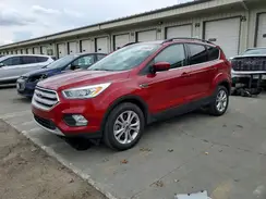 1FMCU9HD7KUA95483 2019 FORD ESCAPE