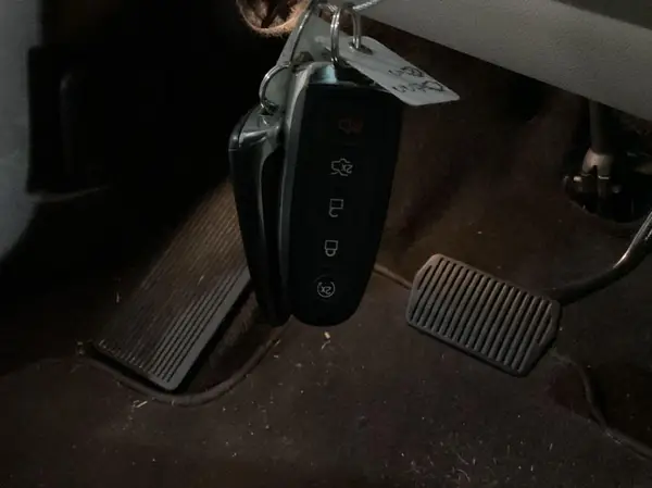 1FMCU9HD8KUA11509 2019 FORD ESCAPE - Image 8