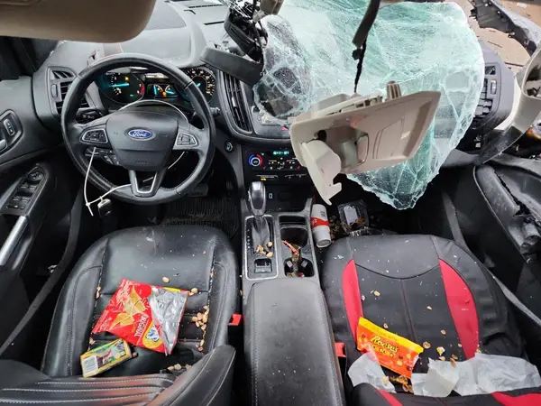 1FMCU9HD9KUA54563 2019 FORD ESCAPE - Image 8
