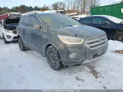 1FMCU9HD9KUB72614 2019 FORD ESCAPE