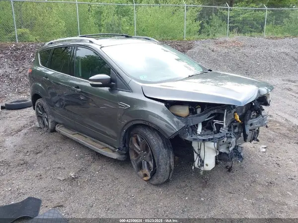 1FMCU9J91HUA45032 2017 FORD ESCAPE - Image 1