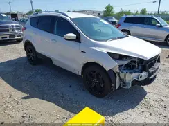 1FMCU9J93KUA84146 2019 FORD ESCAPE