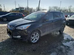 1FMCU9J97GUA75022 2016 FORD ESCAPE