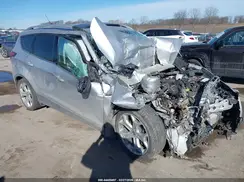 1FMCU9J97KUB81172 2019 FORD ESCAPE