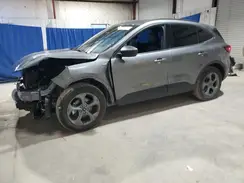 1FMCU9MN0SUA11096 2025 FORD ESCAPE