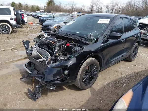 1FMCU9PA5RUB57495 2024 FORD ESCAPE - Image 2
