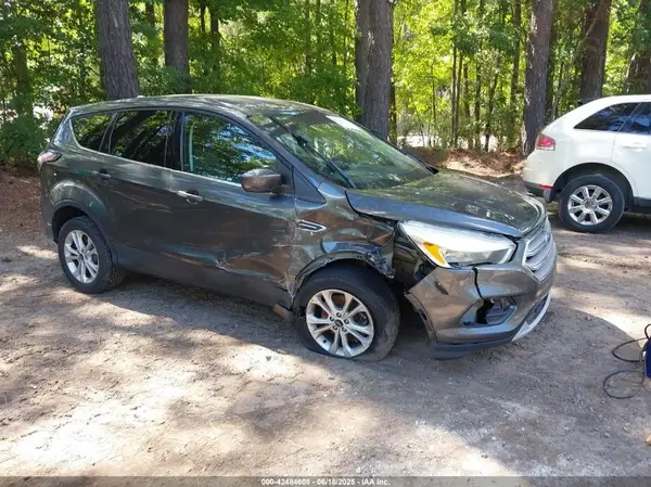 1FMCUOG91HUC89024 2017 FORD ESCAPE - Image 1