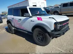 1FMEE2BP4RLB15642 2024 FORD BRONCO