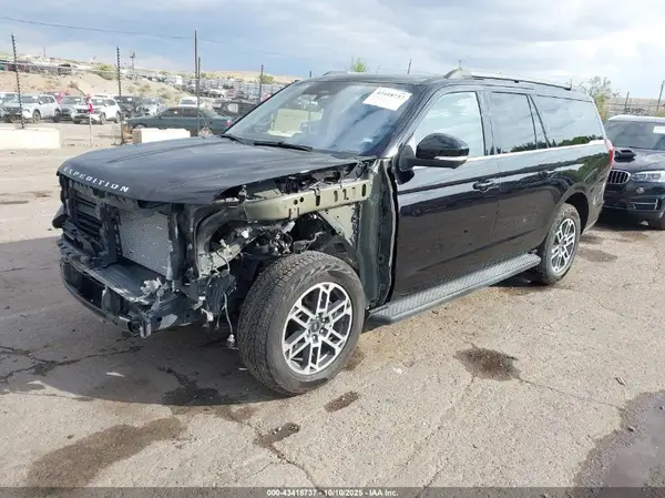 1FMJK1J89SEA30446 2025 FORD EXPEDITION - Image 2