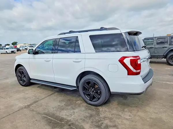 1FMJU1HT8LEA70345 2020 FORD EXPEDITION - Image 2
