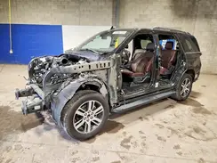 1FMJU1K88REA65269 2024 FORD EXPEDITION