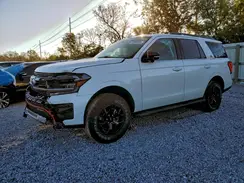 1FMJU1RGXPEA43607 2023 FORD EXPEDITION