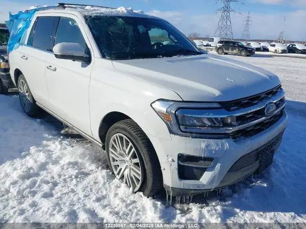 1FMJU2A89REA31767 2024 FORD EXPEDITION - Image 1